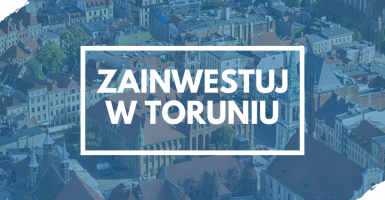 torun.direct