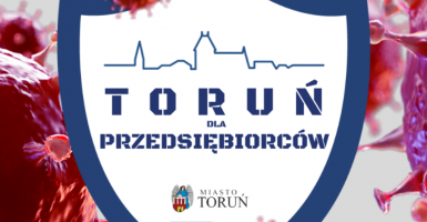 torun.direct