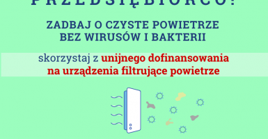 torun.direct