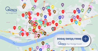 MAPA TORUŃSKIEGO BIZNESU