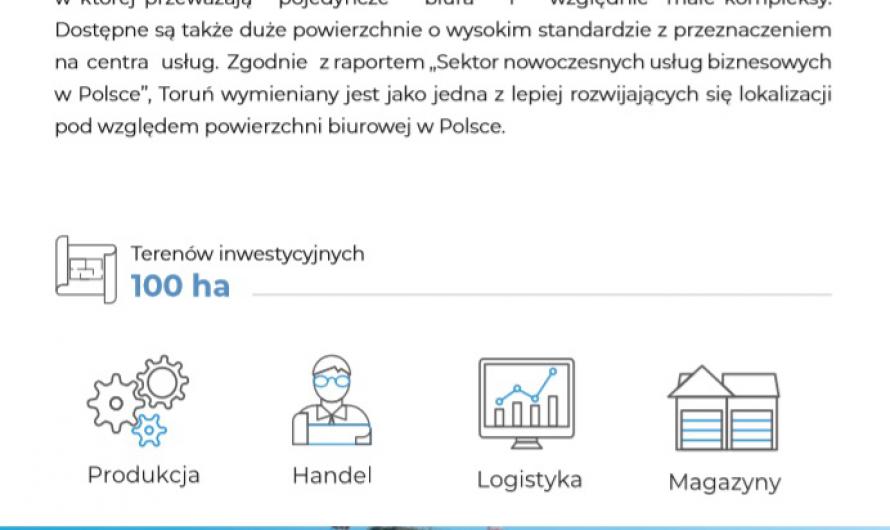 Portfolio gospodarcze