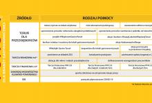 Grafika przedstawia założenia Tarczy Antykryzysowej 