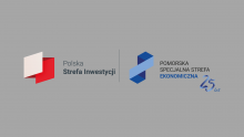 PSSE 25 lat